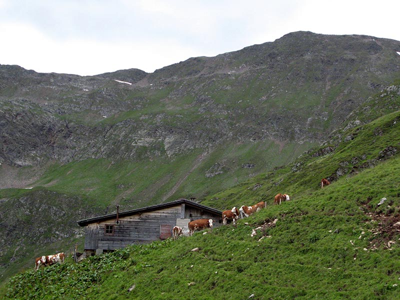 hochalmspitze